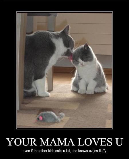 funny-pictures-cat-has-loving-mother.jpg